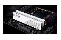 f5-5600j3036d16gx2-rs5w_3