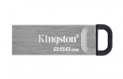 kingston-dtkn-256gb-silver_1