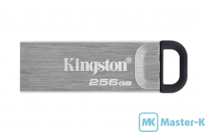 USB FLASH 256Gb Kingston DataTraveler Kyson DTKN/256GB Silver