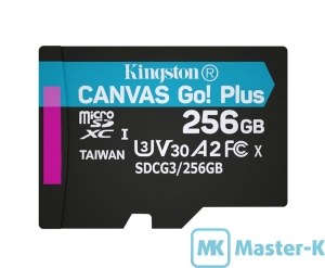FLASH 256Gb microSDXC Kingston Canvas Go! Plus (SDCG3/256GBSP), UHS-1