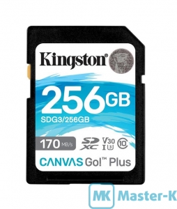 FLASH 256Gb SDXC Kingston Canvas Go! Plus (SDG3/256GB), Class 10