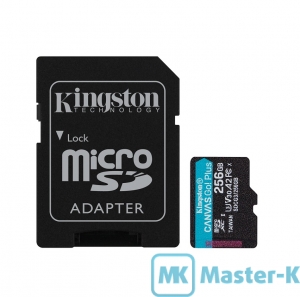 FLASH 256Gb microSDXC Kingston Canvas Go! Plus (SDCG3/256GB), UHS-1