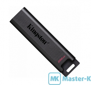 USB FLASH 256Gb Kingston DataTraveler Max (DTMAX/256GB) Black