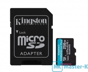 FLASH 256Gb microSDXC Kingston Canvas Go! Plus (SDCG4/256GB), UHS-1