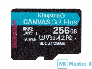 FLASH 256Gb microSDXC Kingston Canvas Go! Plus (SDCG4/256GBSP), UHS-1