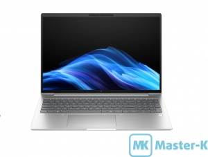 HP EliteBook 6 G1a (BD5P5AW) Silver