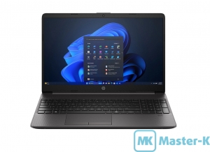 HP 250R G9 (D8VX9AT) Dark Ash Silver