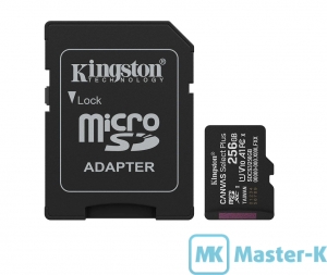 FLASH 256Gb microSDXC Kingston Canvas Select Plus (SDCS3/256GB), UHS-1 U1 V10 A1
