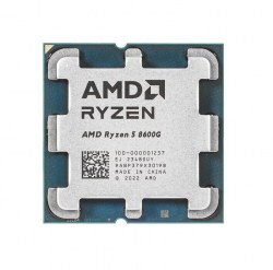 ryzen-5-8600g_tray_1