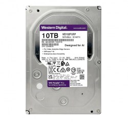wd102purp_1
